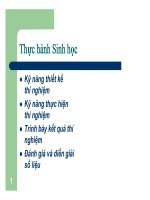 Thực hành sinh học giả thuyết