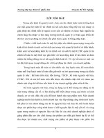 Hoàn thiện kế toán nguyên vật liệu tại Công ty cổ phần Him Lam