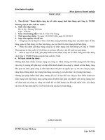 Hoàn thiện công tác tổ chức mạng lưới bán hàng tại Công ty TNHH Thương mại & Sản xuất Lê Vinh