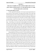 Hoàn thiện công tác tổ chức mạng lưới bán hàng của chi nhánh công ty TNHH SX TPCN Bảo Long tại Hà Nội