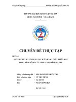 Hạn chế rủi ro tín dụng tại Ngân hàng phát triển Nhà Đồng Bằng Sông Cửu Long Chi nhánh Hà Nội