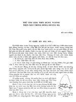 Thử tìm lịch sử thời Hùng Vương trên mặt trống đồng Hoàng Hạ