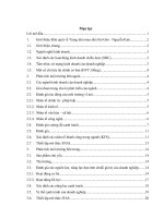 Phân tích chiến lược kinh doanh của Trung tâm mua sắm Sài Gòn - Nguyễn Kim