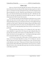 Ảnh hưởng của biến động tỷ giá hối đoái tới kinh doanh nhập khẩu ô tô tại Công ty CP ô tô Hoàng Gia