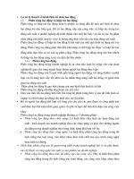 Cơ sở lý thuyết về hình thức tổ chức lao động