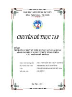 Mở rộng cho vay tiêu dùng tại chi nhánh Hà Thành Ngân hàng Nông nghiệp và phát triển nông thôn Việt Nam