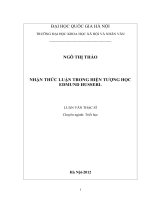 Nhận thức luận trong hiện tượng học Edmund Husserl