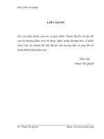 Rủi ro tín dụng tại Ngân hàng thương mại cổ phần Nam Việt chi nhánh Hà Nội