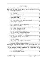 Tổ chức công tác quản lý tiêu thụ sản phẩm tại Công ty TNHH Thương Mại và Dịch Vụ Hiền Lê