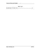 Hạch toán tiêu thụ thành phẩm và xác định kết quả kinh doanh tại Công ty cổ phần Dược phẩm TW II