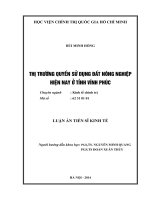 Thị trường quyền sử dụng đất nông nghiệp hiện nay ở tỉnh Vĩnh Phúc