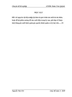 Hoàn thiện kế toán Nguyên vật liệu tại Công ty TNHH NN MTV chiếu sáng và thiết bị đô thị