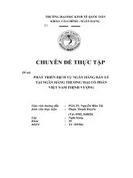 Phát triển dịch vụ ngân hàng bán lẻ tại ngân hàng thương mại cổ phần Việt Nam Thịnh Vượng