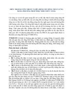 Điều trị bảo tồn thoát vị đĩa đệm cột sống thắt lưng bằng phương pháp phục hồi chức năng