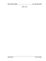 Đa dạng hóa sản phẩm cho vay khách hàng cá nhân tại Agribank chi nhánh Thăng Long