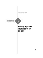 Module THCS 3: Giáo dục học sinh THCS cá biệt  Nguyễn Thanh Bình