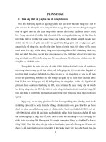 kế toán bán hàng mặt hàng máy vi tính tại Công Ty Cổ Phần Dự Án và Công Nghệ Nhật Hải