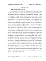 Kế toán kết quả kinh doanh tại công ty cổ phần đầu tư thương mại và dịch vụ Hà Linh