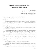 Hệ thực vật và thảm thực vật huyện Yên Châu, Sơn La