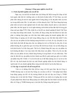 Giải pháp hoàn thiện hoạt động quảng cáo đối với thị trường khách du lịch nội địa của Công ty TNHH thương mại và du lịch Hạ Trắng
