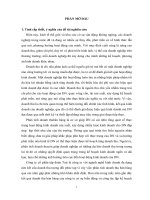 Phân tích doanh thu bán hàng tại công ty cổ phần tập đoàn Toji Việt Nam