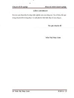 Giải pháp chủ yếu nhằm nâng cao hiệu quả sử dụng vốn kinh doanh  tại Công ty CP xây dựng số 1 Sông Hồng