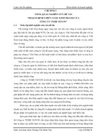 Hoạch định chiến lược kinh doanh cho công ty TNHH NEVON