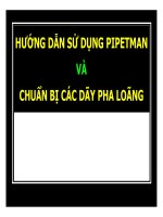 Hướng dẫn sử dụng Pipetman và chuẩn bị các dãy pha loãng