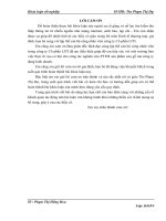 Giải pháp phát triển thương mại sản phẩm cửa gỗ của công ty cổ phần LITI trên thị trường Hà Nội