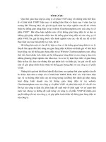 Hoàn thiện hệ thống gian hàng điện tử tại website Chaobansanpham.com của công ty cổ phần VNIP