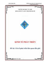 Mối liên hệ giữa Chỉ số phát triển giới và phát triển kinh tế