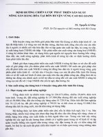 Định hướng chiến lược phát triển sản xuất nông sản hàng hóa tại bốn huyện vùng cao Hà Giang.PDF