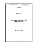 Công bằng xã hội trong phân phối ở nước ta hiện nay