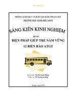 SKKNđề tài  Biện pháp giúp trẻ nắm vững 12 biển báo  ATGT