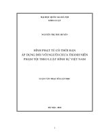 Hình phạt từ có thời hạn áp dụng đối với người chưa thành niên phạm tội theo Luật hình sự Việt Nam
