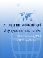 LÝ THUYẾT THỊ TRƯỜNG HIỆU QUẢ VÀ VẬN DỤNG VÀO THỊ TRƯỜNG TÀI CHÍNH