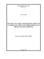 Nguyên tắc thực hành quyền công tố và kiểm sát việc tuân theo pháp luật trong tố tụng hình sự