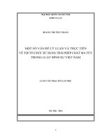 Một số vấn đề lý luận và thực tiễn về tội tổ chức sử dụng trái phép chất ma túy trong luật hình sự Việt Nam
