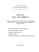 Giải pháp phòng ngừa và hạn chế rủi ro trong cho vay hộ sản xuất tại ngân hàng Vpbank- chi nhánh Chương Dương
