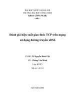 Đánh giá hiệu suất giao thức TCP trong mạng sử dụng đường truyền xDSL