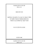Những vấn đề lý luận và thực tiễn về miễn trách nhiệm hình sự theo luật hình sự Việt Nam