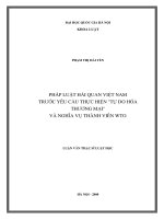 Pháp luật hải quan Việt Nam trước yêu cầu thực hiện tự do hóa thương mại  và nghĩa vụ thành viên WTO