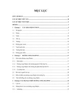 Hệ mật đường cong elliptic và ứng dụng trong bỏ phiếu điện tử