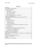 Phân tích mô hình doanh thu kinh doanh của Global.Rakuten.com. Liên hệ thực tiễn việc ứng dụng mô hình này tại Việt Nam.