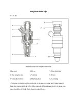 Vòi phun nhiên liệu