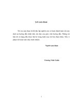 Tổ chức và hoạt động của Uỷ ban nhân dân tỉnh trước yêu cầu xây dựng Nhà nước pháp quyền Việt Nam