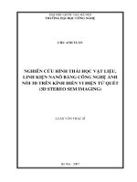 Nghiên cứu hình thái học vật liệu, linh kiện nanô bằng công nghệ ảnh nổi 3D trên kính hiển vi điện tử quét ( 3D Stereo Sem Imaging)