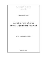 Các hình phạt bổ sung trong luật hình sự Việt Nam - Luan an tien sy