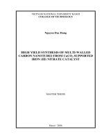 High yield synthesis of multi-walled carbon nanotubed from CaCO3 supported iron (III) nitrate catalyst