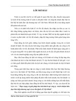 Thực trạng và giải pháp thu hút khách tại công ty trách nhiệm hữu hạn liên hiệp thương mại và tư vấn Quốc tế Việt Minh